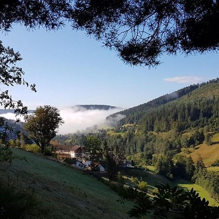 Ferienwohnung Tonbachtal Baiersbronn Kültér fotó