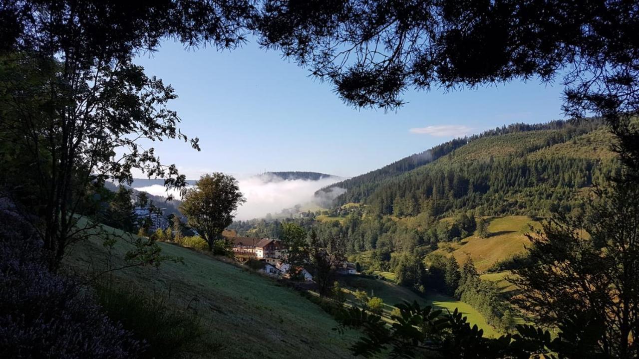 Ferienwohnung Tonbachtal Baiersbronn Kültér fotó