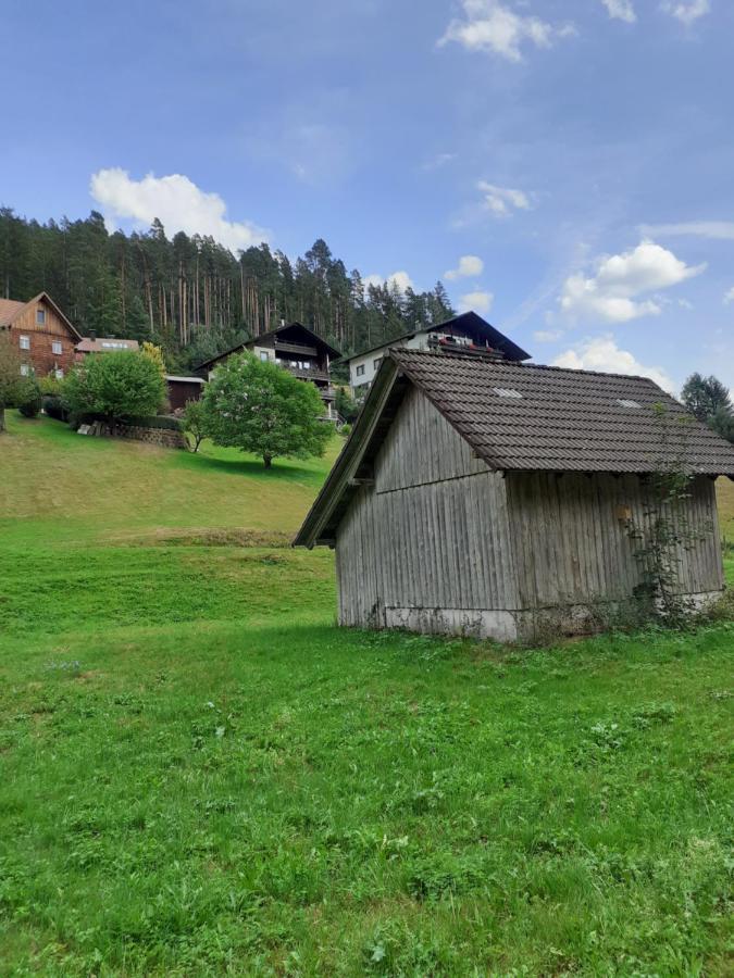 Ferienwohnung Tonbachtal Baiersbronn Kültér fotó